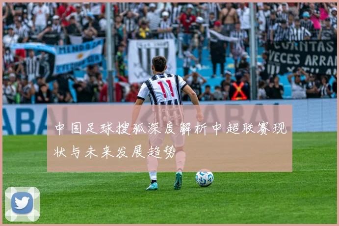 中国足球搜狐深度解析中超联赛现状与未来发展趋势