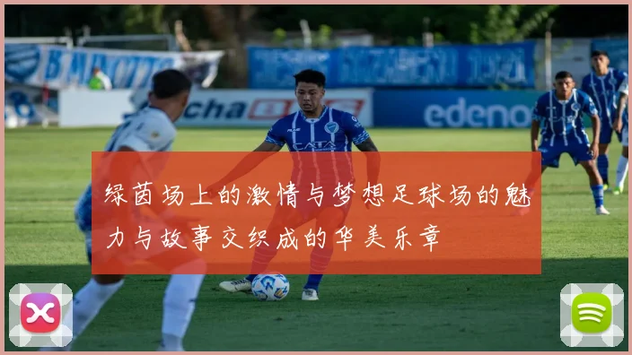 绿茵场上的激情与梦想足球场的魅力与故事交织成的华美乐章