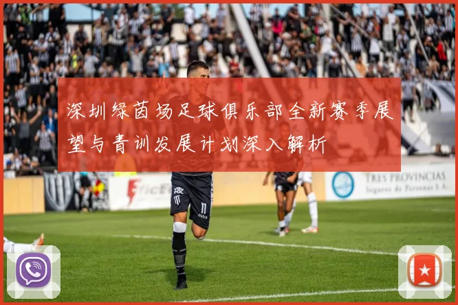 深圳绿茵场足球俱乐部全新赛季展望与青训发展计划深入解析