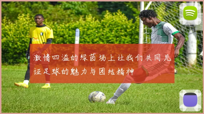 激情四溢的绿茵场上让我们共同见证足球的魅力与团结精神